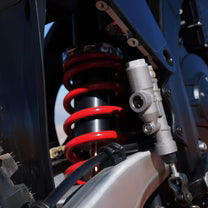 Arctic Leopard EXE 880