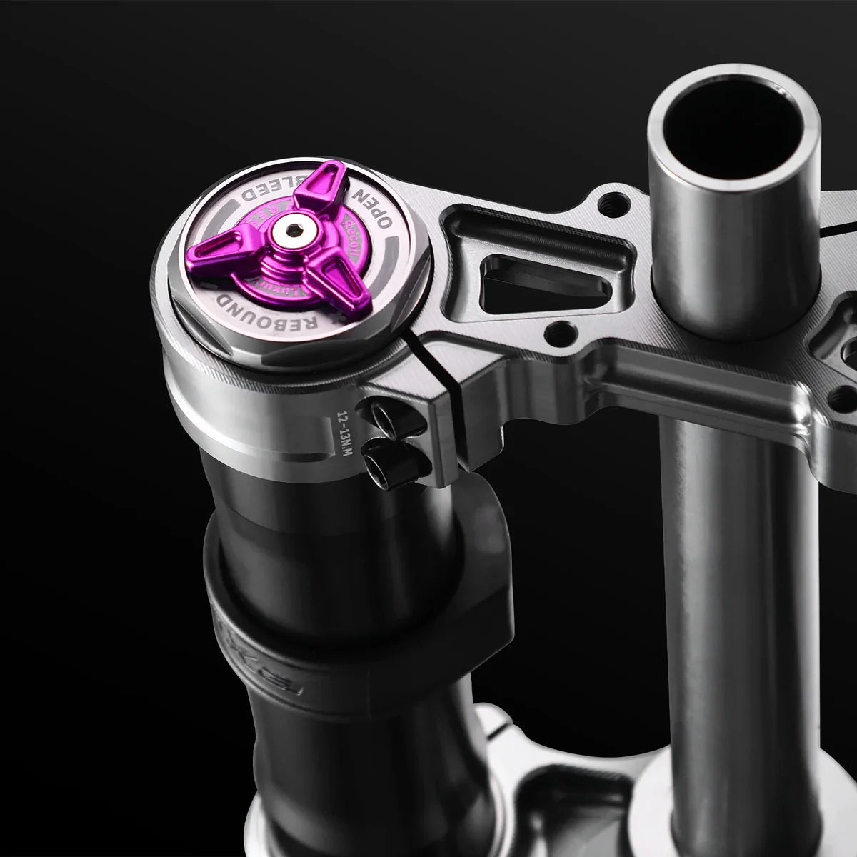 RFLOXA Hawk31 PRO Front Fork for Surron/Talaria/Eride Pro