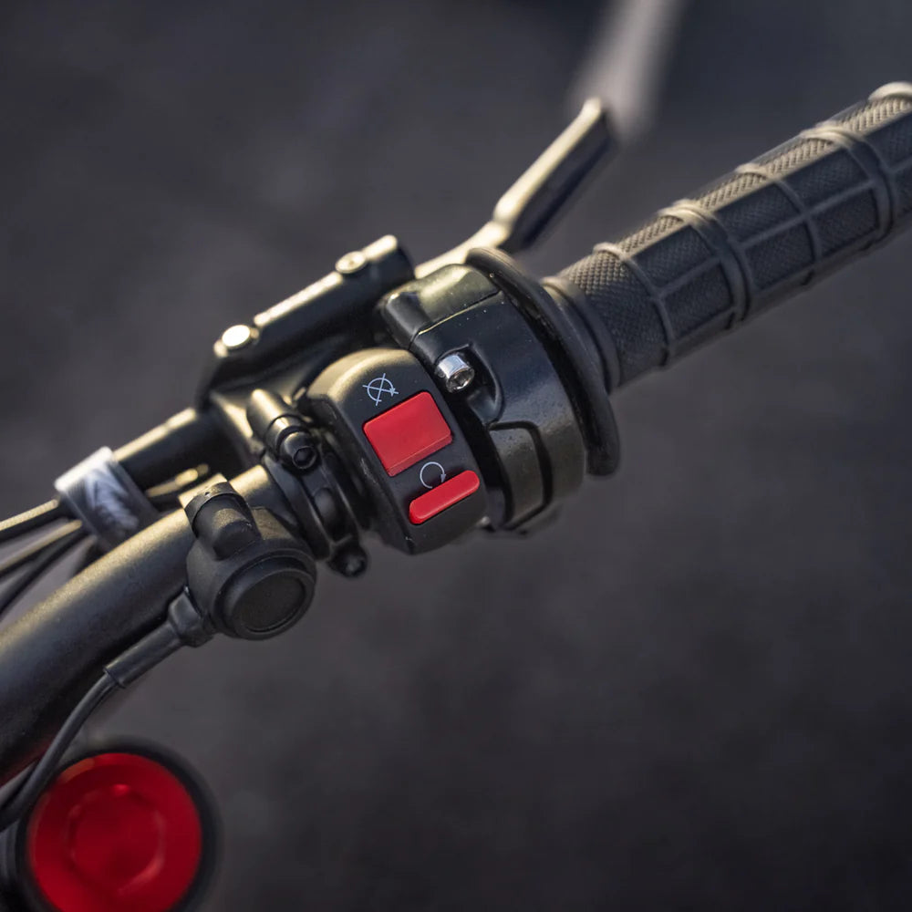 Rawrr Mantis Mini R/ R17