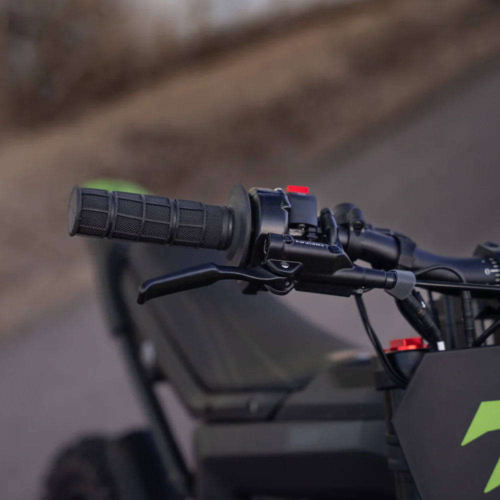 Rawrr Mantis Mini R/ R17