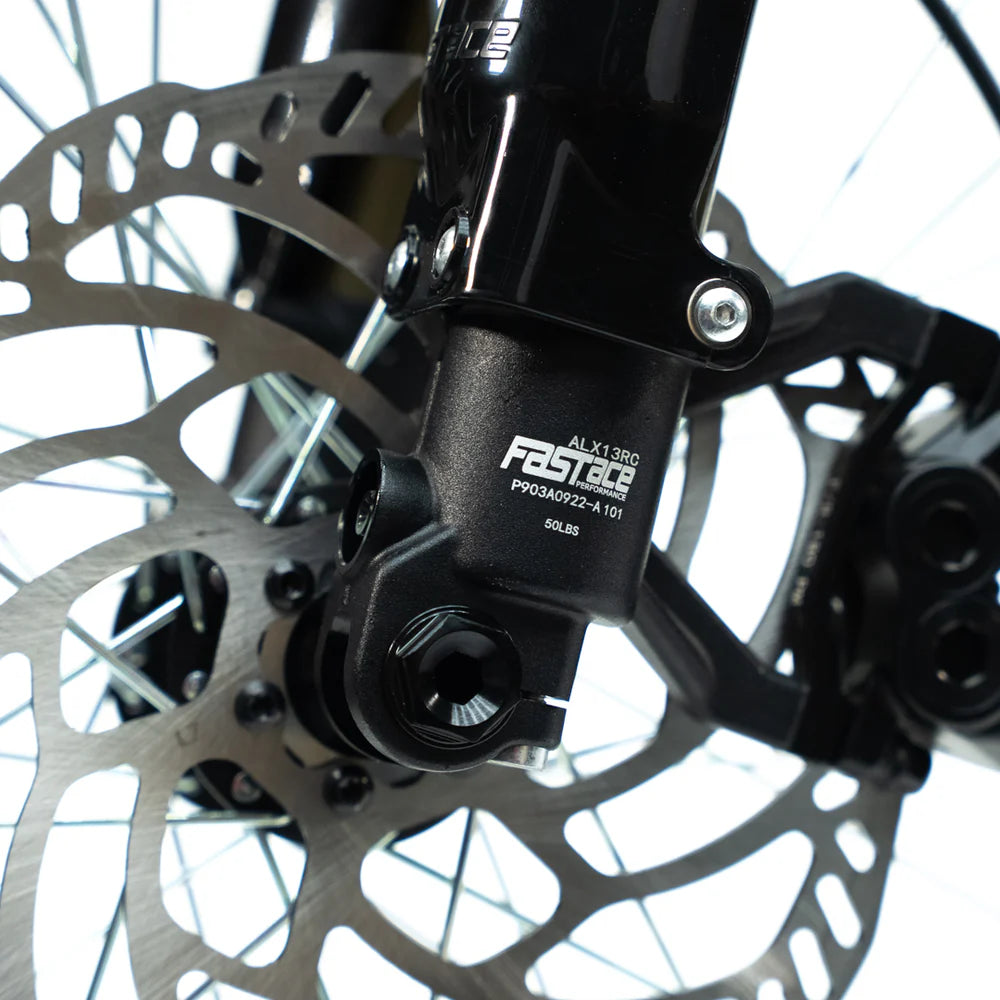 E-Ride Pro SS 2.0