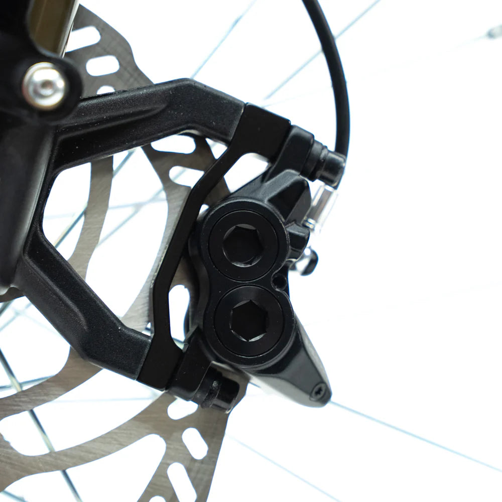 E-Ride Pro SS 2.0