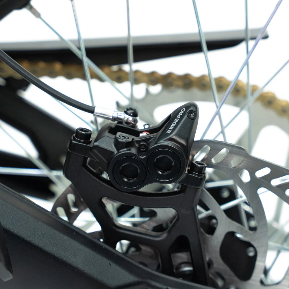 E-Ride Pro SS 2.0